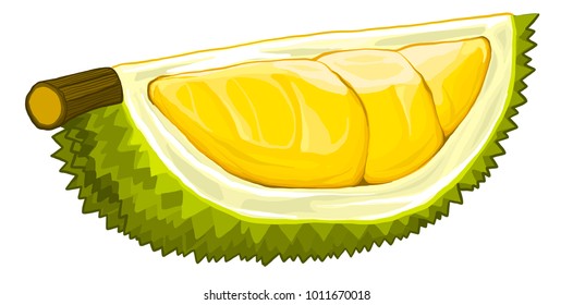 Durian - a piece with peel