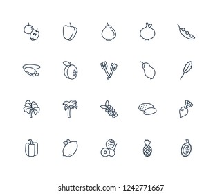 Durian, Pineapple, Fruit, Lemon, Bell pepper, Pea, Rose apple, Berries, Lettuce, Apricot, quince outline vector icons from 20 set