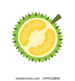 Durian in shadow flat style isolated vector