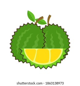 Durian and durian slices vector
