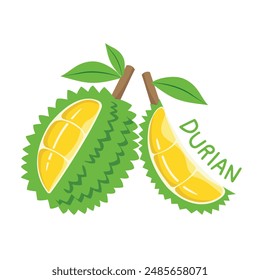 Durian, Summer tropical of durian fruit. Durian design.