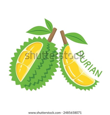 Durian, Summer tropical of durian fruit. Durian design.