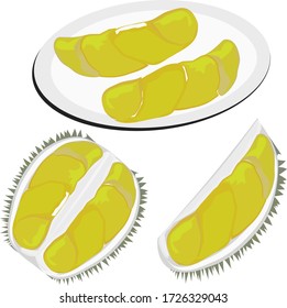 Durian, Thai fruit, illustration vector, cut in half and arrange on a plate