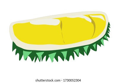 Durian Thai Frucht Isolat auf weißem Hintergrund. Vector-Illustration in flachem Stil