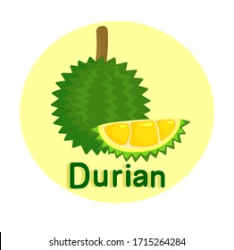 Durian Thai Fruit on White Background Vector