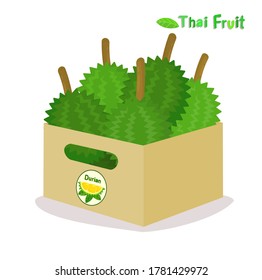 Durian Thai Frucht auf weißem Hintergrund, Vektorgrafik