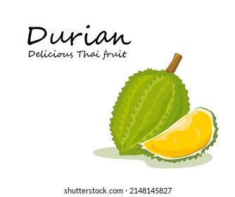 Durian Thai fruit vector art on white background.