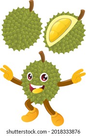 Durian. This is durian fruit vector and durian mascot design. 