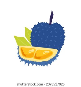 Durian. Tropical fruit and graphic design elements. Ingredients color cliparts. Sketch style smoothie or juice ingredients.
