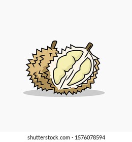 durian vector with color for all purpose