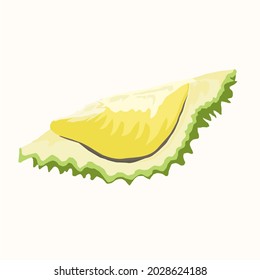 Durian vector, durian digital art