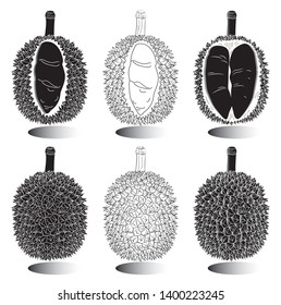 Durian vector disign,Set of vector color illustrations, icons of a durian fruit whole and peeled isolated on a white background