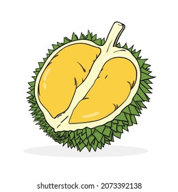ilustración de icono del vector del durión dibujada a mano