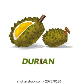 durian - vector illustration