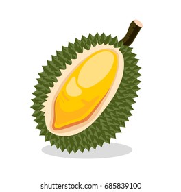 Durian. Vector illustration.