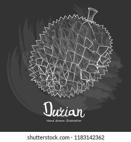 durian vector illustration. chalk drawing style.
