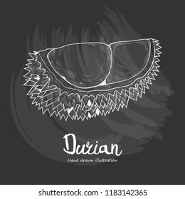 durian vector illustration. chalk drawing style.