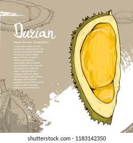 durian vector illustration. fruit background design.
