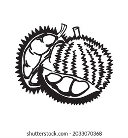 Durian. Ilustración vectorial del fruto del durión aislado. Diseño para paquetes de productos naturales de salud y belleza. vector en blanco y negro para grabado e impresión de pantalla