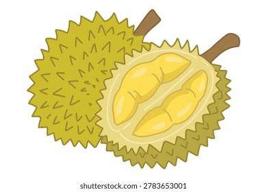 Durian vector illustration. Whole and cut half exotic tropical king of fruits isolated on white. Flat vector illustration of fresh durian. Rind with sharp spikes, whole green fruit and half cut with delicious yellow creamy pulp and seed. Isolated graphic object on white background.