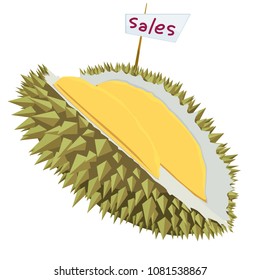 durian vector sales isolated on white background