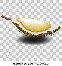 Durian  Vector,isolated on transparent background.