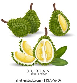 Durian is very delicious fruit