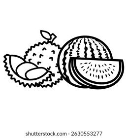 durian and watermelon fruit image icon vector illustration design