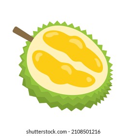 Durian whole fruit for package design. Summer exotic tropical fruit cartoon icon isolated on white background. Organic food, healthy nutrition, vegetarian product. King of fruits vector illustration.
