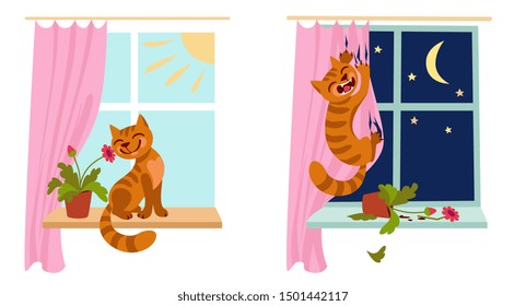 during the day, a calm, good cat sits and smiles, at night it’s bad, bullies, jumps on the curtains, knocks over a flower pot