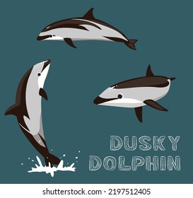 Dusky Dolphin Cartoon Vector Illustration Stock Vector (Royalty Free ...