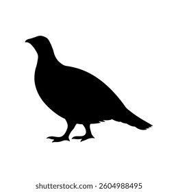 Dusky grouse silhouette vector flat illustration design.