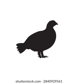 Dusky grouse silhouette vector flat illustration design.