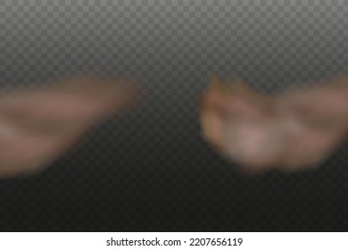Dust cloud with dirt,cigarette smoke, smog, soil and sand  particles. Realistic vector isolated on transparent background. Concept house cleaning, air pollution,big explosion,desert sandstorm.
