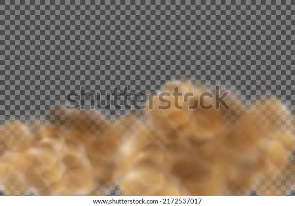 Dust cloud with dirt,cigarette smoke, smog,\
soil and sand  particles. Realistic vector isolated on transparent\
background. Concept house cleaning, air pollution,big\
explosion,desert\
sandstorm.\
