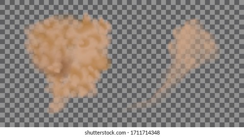 Nube de polvo o arena seca volando, nube de polvo de carretera con partículas de suciedad, humo de cigarrillos, smog, suelo y partículas de arena. Vector realista aislado en un fondo transparente. 