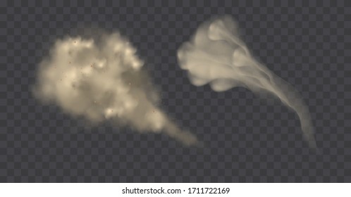 Dust cloud  or dry sand flying ,road dust cloud with particles with dirt,cigarette smoke, smog, soil and sand  particles. Realistic vector isolated on transparent background. 