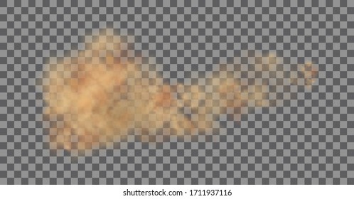 Staubwolke oder trockener Sand fliegen , Straßenstaubwolke mit Partikel mit Schmutz, Zigarettenrauch, Smog, Boden und Sand-Teilchen. Realistische Vektorillustration einzeln auf transparentem Hintergrund. 