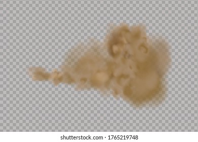 Staubwolke oder trockener Sand fliegen , Straßenstaubwolke mit Partikel mit Schmutz, Zigarettenrauch, Smog, Boden und Sand-Teilchen. Realistische Vektorgrafik einzeln auf transparentem Hintergrund.
