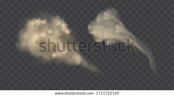 Dust cloud \
or dry sand flying ,road dust cloud with particles with\
dirt,cigarette smoke, smog, soil and sand  particles. Realistic\
vector isolated on transparent background.\
