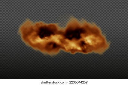 Dust cloud with  fire,cigarette smoke and black smog.Realistic vector isolated on transparent background. Concept house cleaning, air pollution,big explosion,desert sandstorm.
