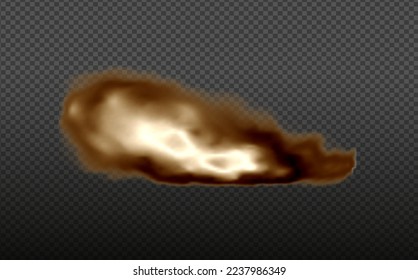 Dust cloud with  fire,cigarette smoke and black smog.Realistic vector isolated on transparent background. Concept house cleaning, air pollution,big explosion,desert sandstorm.
