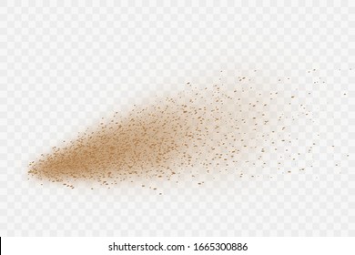 Dust cloud with flying sand particles.