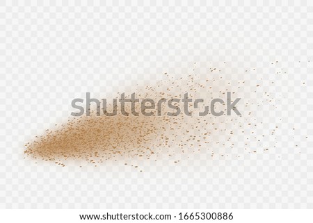 Dust cloud with flying sand particles.