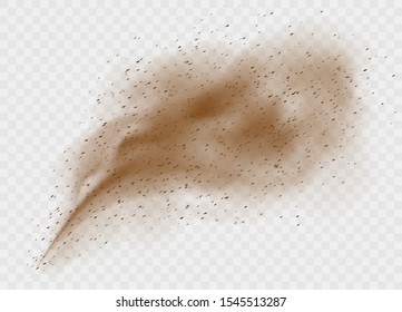 Dust cloud with ground particles isolated on a transparent background. Brown sandstorm explosion with clay grains concept. Dirty sandy cloud in desert vector illustration.