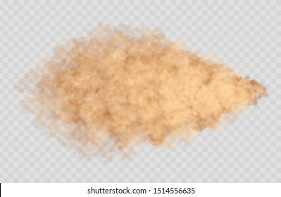 Dust Cloud Isolated On Transparent Background. Sand Storm, Beige Powder Explosion, Desert Wind Concept. Realistic Vector Illustration.
