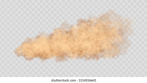 Dust cloud isolated on transparent background. Sand storm, beige powder explosion, desert wind concept. Realistic vector illustration.