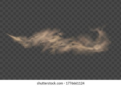 Dust Cloud Isolated On Transparent Background. Sand Storm. Desert Wind With Cloud Of Dust And Sand. 