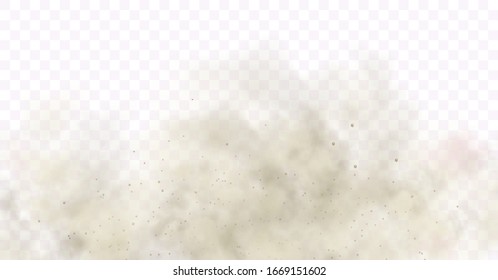 Nube de polvo con partículas de suciedad, humo de cigarrillo, smog, suelo y partículas de arena. Vector realista aislado en un fondo transparente. Concepto limpieza doméstica, contaminación del aire, gran explosión, desierto.
