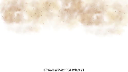 Dust cloud with particles with dirt,cigarette smoke, smog, soil and sand  particles. Realistic vector isolated on transparent background. Concept house cleaning, air pollution,big explosion,desert .

